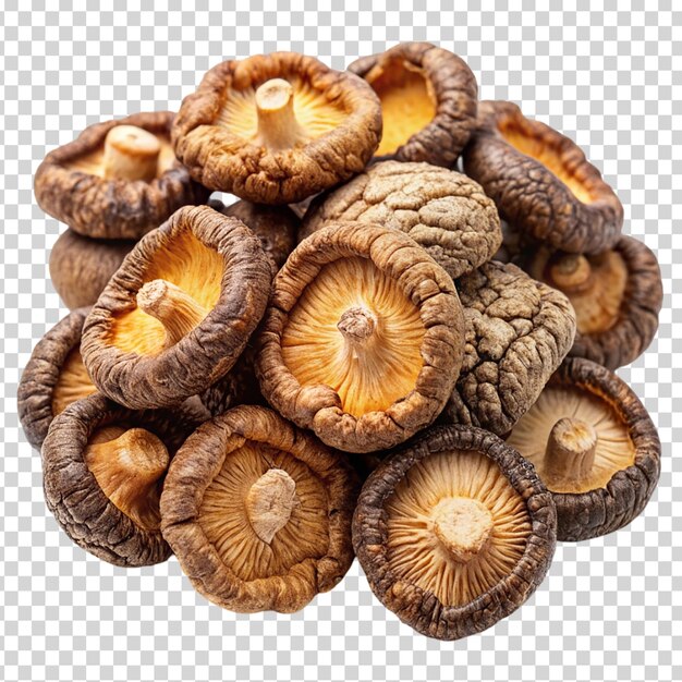 A pile of mushrooms arranged on transparent background