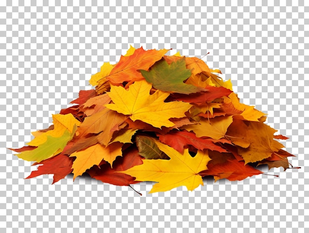 透明な背景png psdに分離された紅葉の山