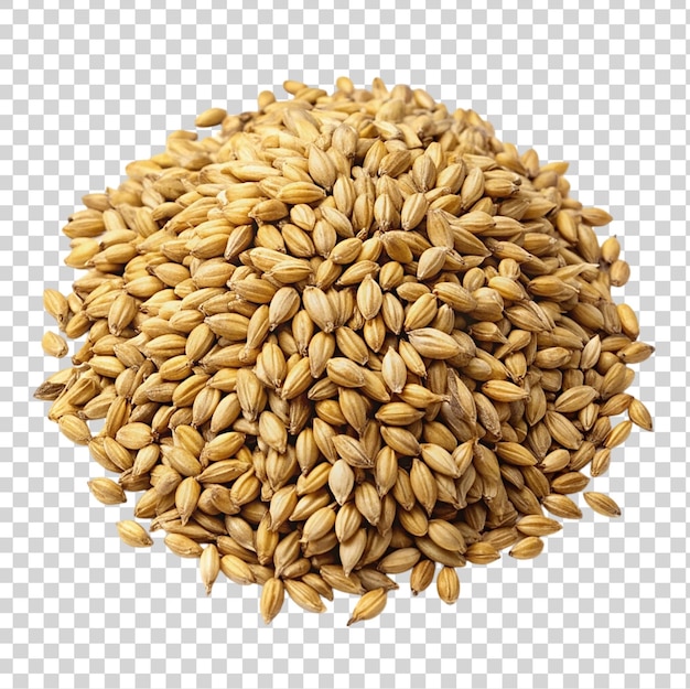PSD Куча зерновых пшеницы, выделенных на прозрачном фоне