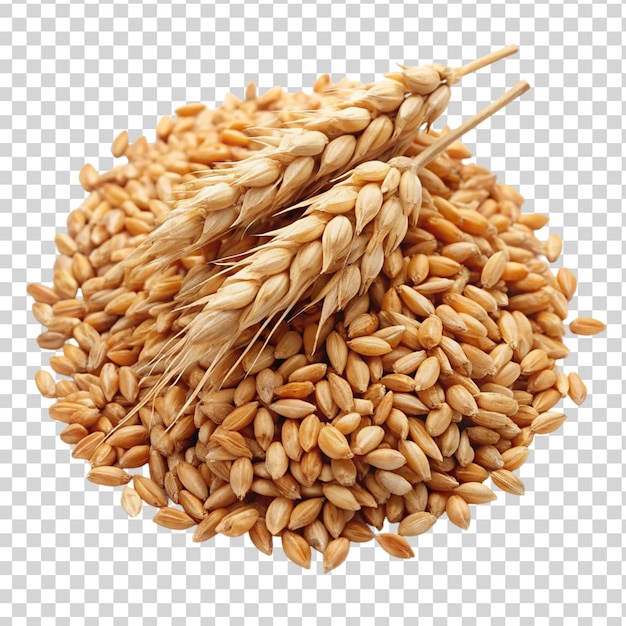 PSD pile of wheat isolated on transparent background