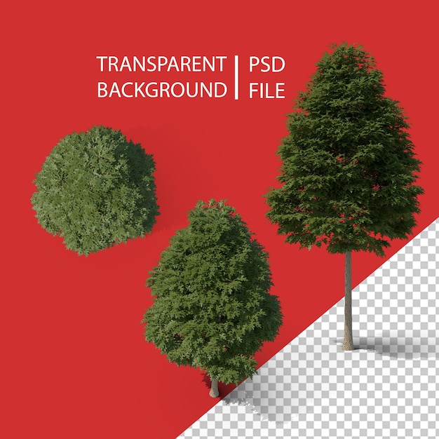 PSD pin oak tree png