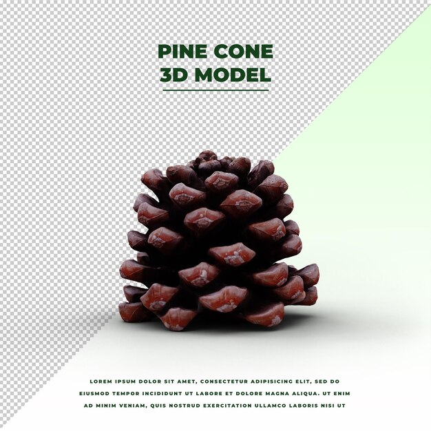 Pine cone