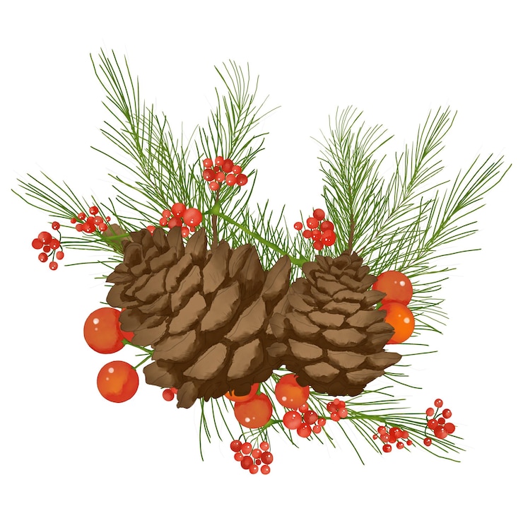 PSD pine cones with spruce branches and red berries digital watercolor composition illustration for win