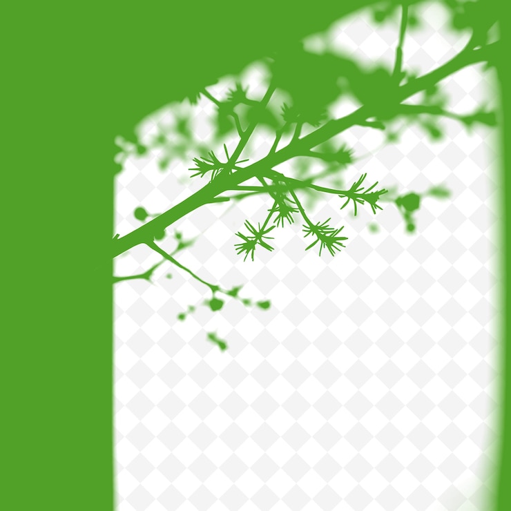 PSD pine needle shadows creating fine spiky textures subtle gradien png shadow cast illustrationst