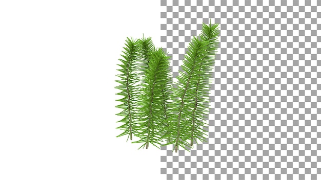 PSD pine needles without shadow 3d render