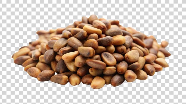 PSD pine nuts isolated on transparent background