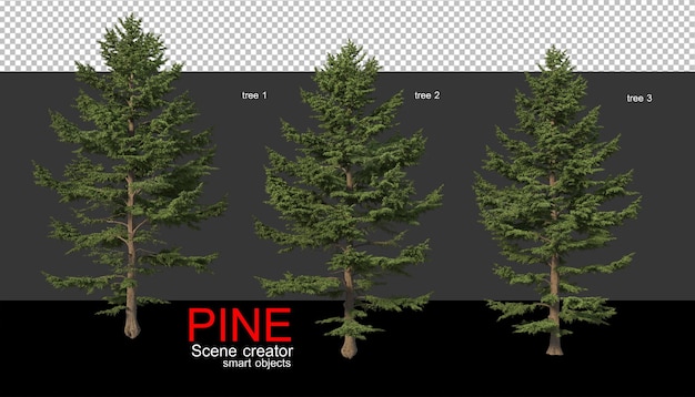 PSD pine trees of various sizes