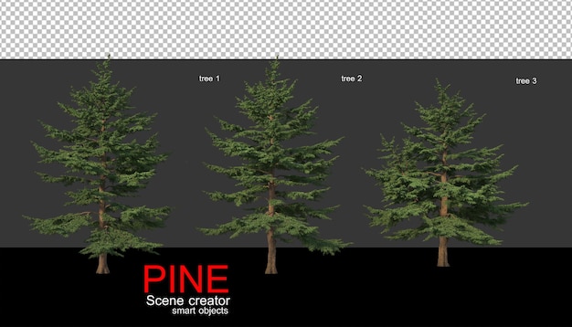 PSD pine trees of various sizes