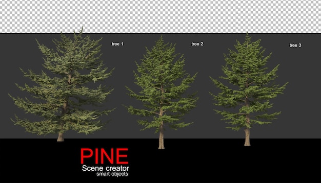 PSD pine trees of various sizes