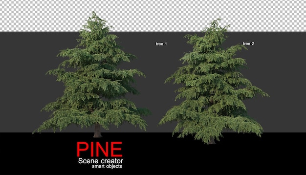 PSD pine trees of various sizes