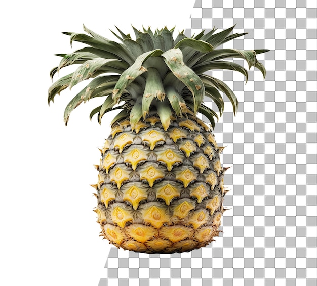 Ananas su uno sfondo trasparente