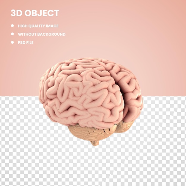 Uno sfondo rosa con il titolo oggetto 3d