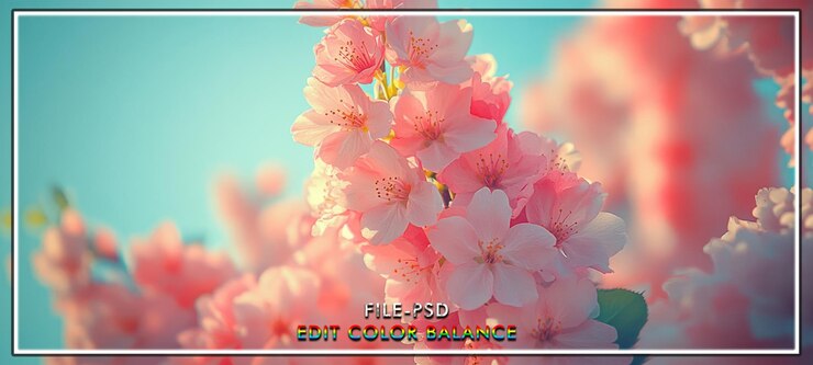 PSD ピンクの花がく 晴れた日の春