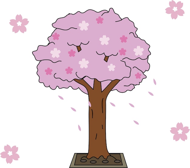 pink cherry blossoms blooming in spring