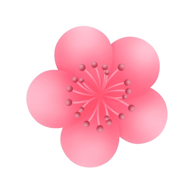 PSD pink cherry flower