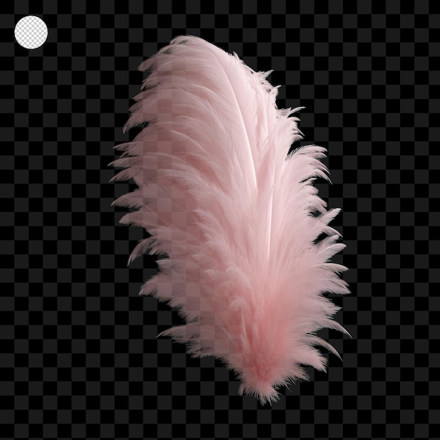 PSD 透明な背景に分離されたピンクの羽 png psd