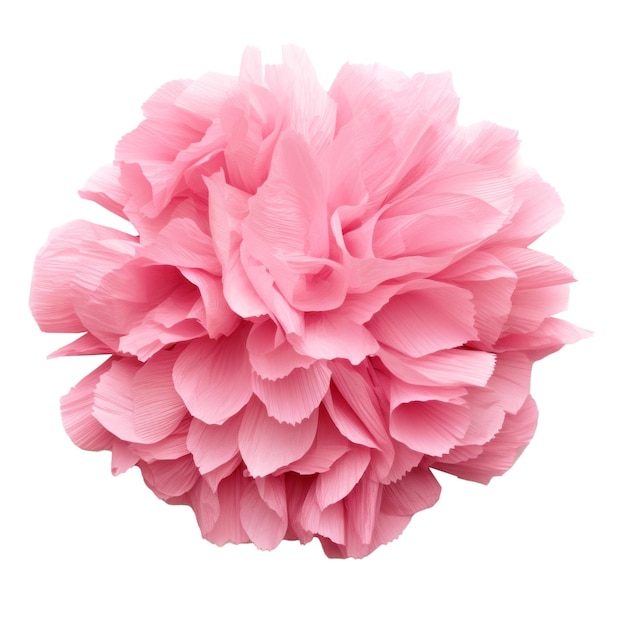 PSD pink flower on isolated background