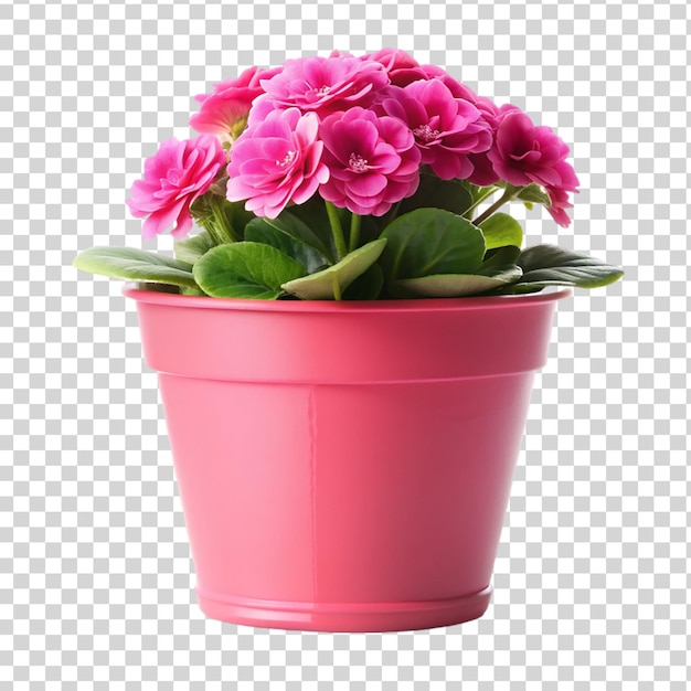PSD a pink flower pot isolated on transparent background