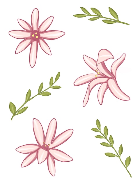 PSD pink flower