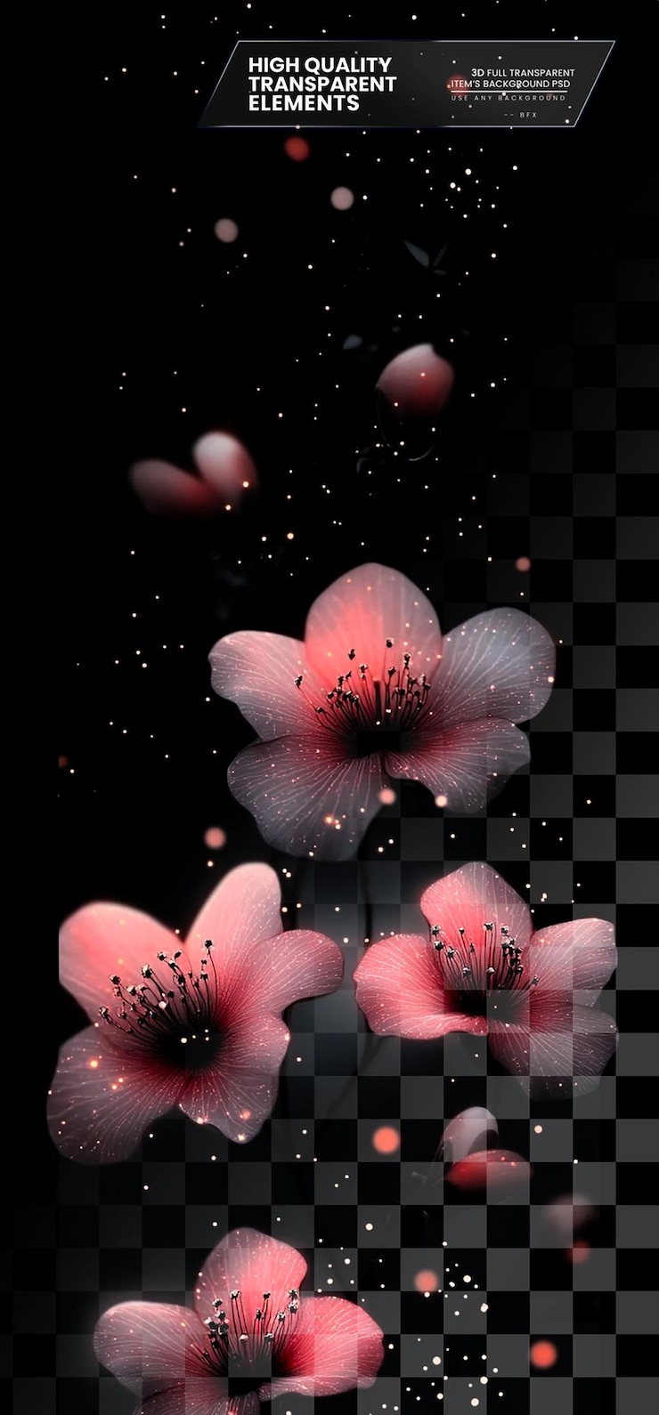 PSD pink flowers on a black background with glowing petals on transparent background