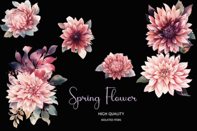 PSD pink flowers on a black background with the words spring flower.