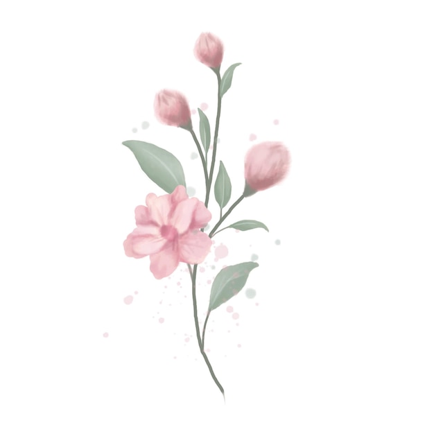 PSD pink flowers watercolor on a white background