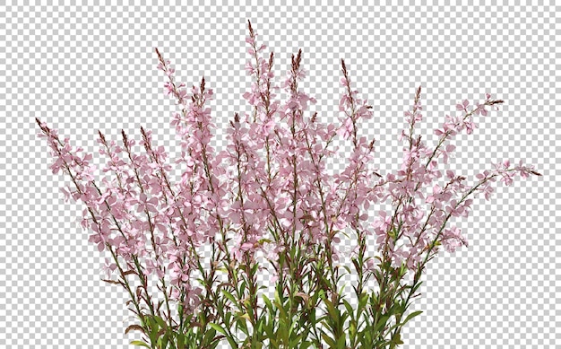 PSD ピンクの花が透明な背景にく 3d レンダリング