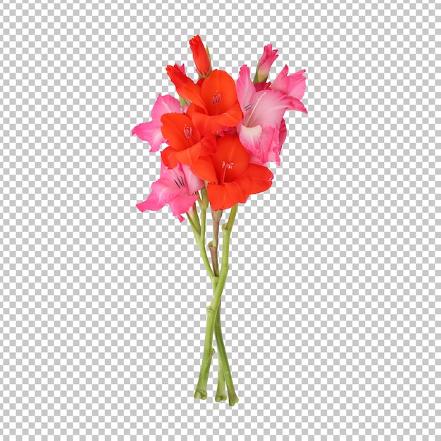 PSD ピンク、オレンジ色のグラジオラスの花の茎の分離レンダリング