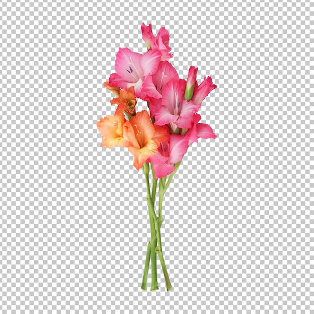 PSD pink orange gladiolus flower stems isolated rendering