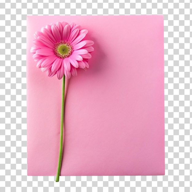 PSD 透明な背景に隔離された花のピンクの紙