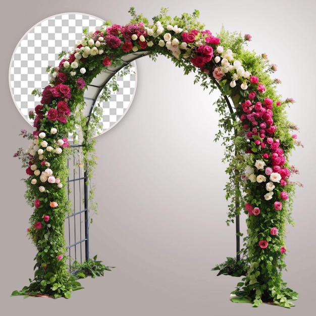 Pink pastel rose arch isolated on transparent background front view