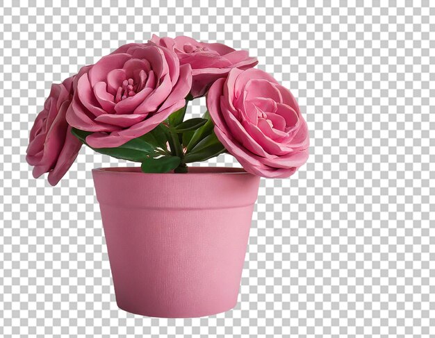 Vaso di piante rosa per la decorazione della casa