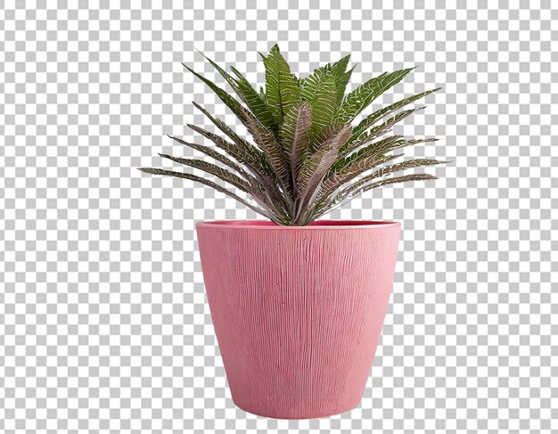 PSD pink plant pot for home decor