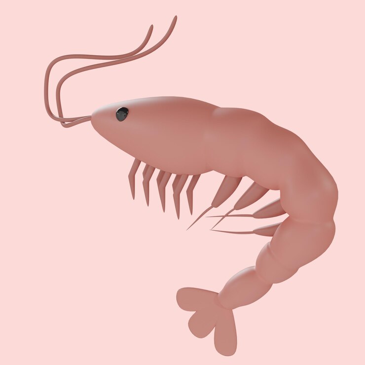 PSD กุ้งสีชมพูบนพื้นหลังสีชมพู
