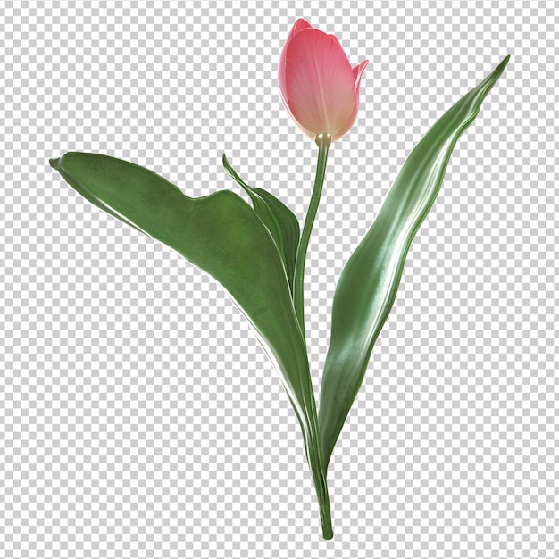 A pink tulip with a green leaf on it.