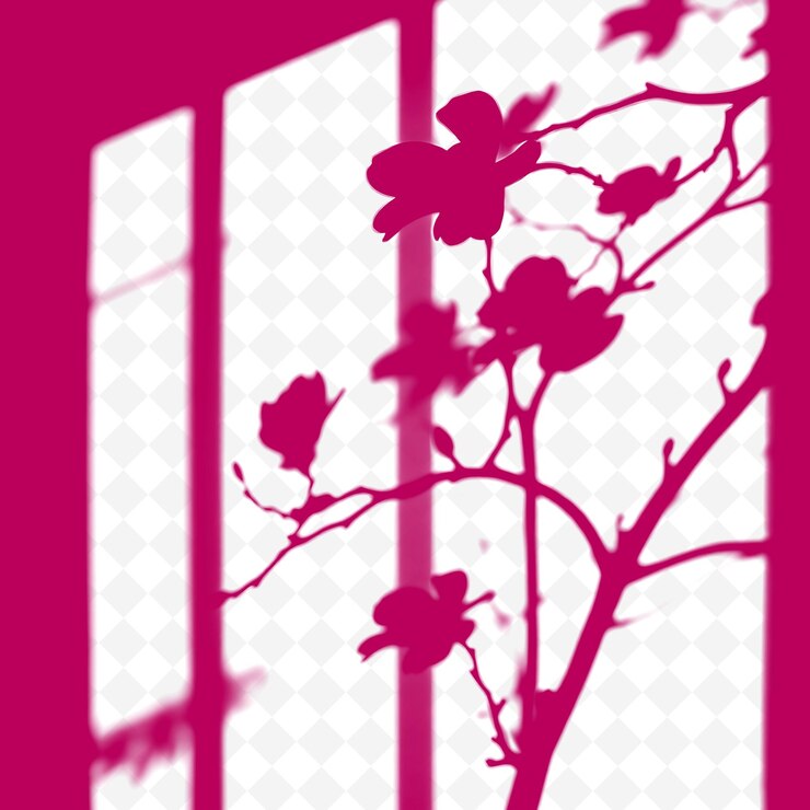 PSD a pink window with a flower in the foreground and a pink background