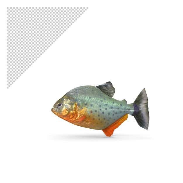 piranha png
