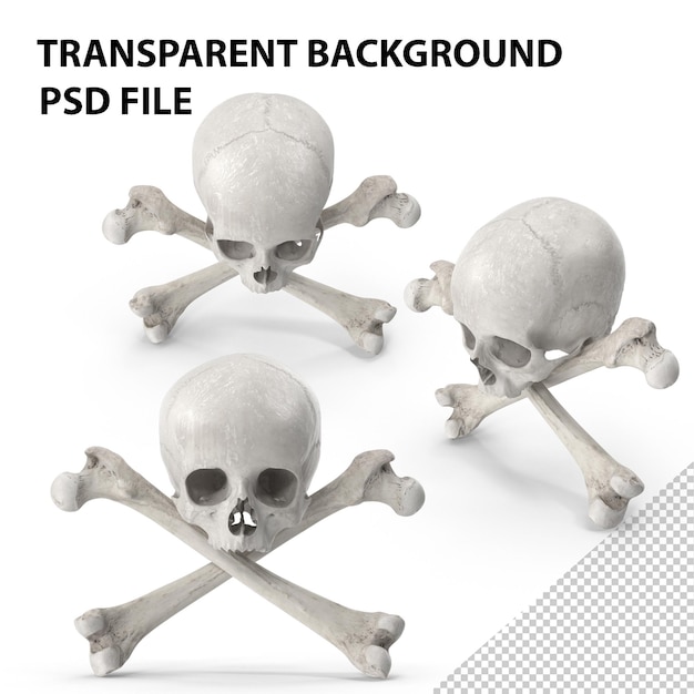 Pirate skull and bones composition png