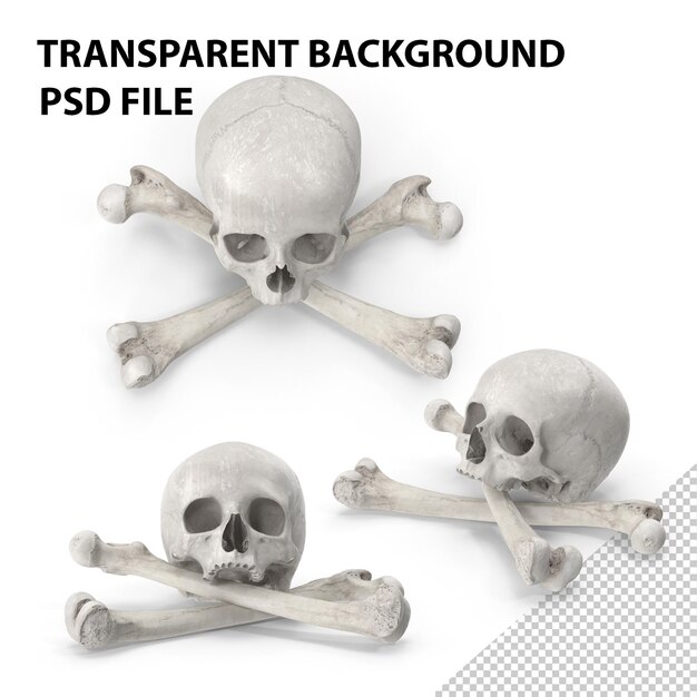 Pirate skull and bones composition bianco png