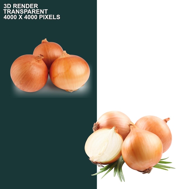 plakat z prezentacją o cebuli i zdjęcie cebuli