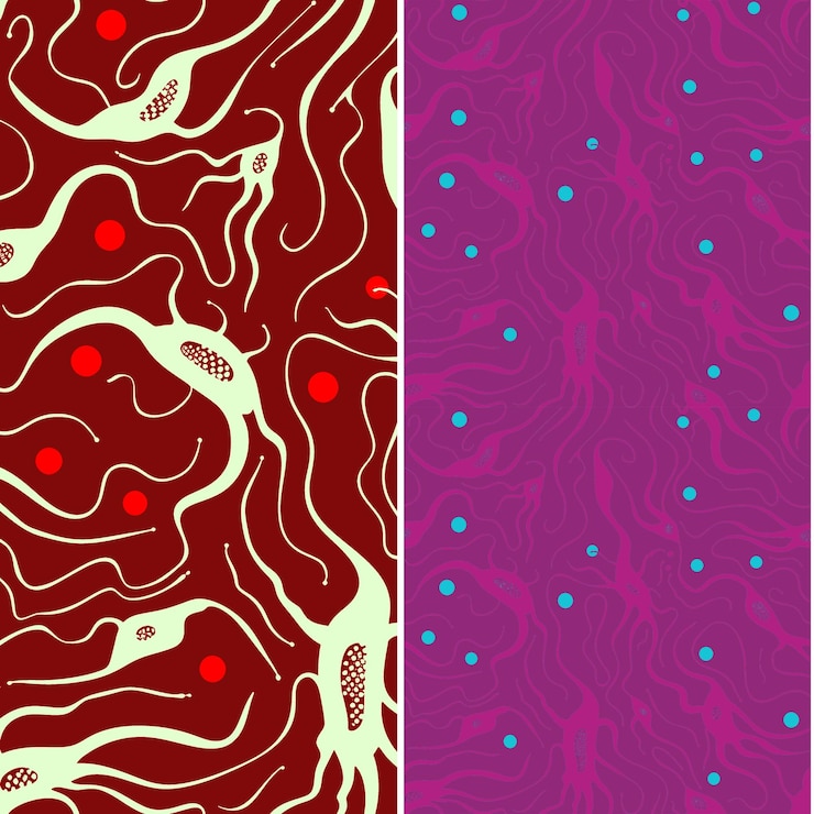 PSD plankton with microscopic silhouette organic minimal design nature pattern vector designs