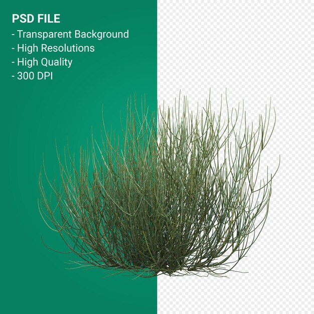 PSD 植物の3dレンダリングを分離