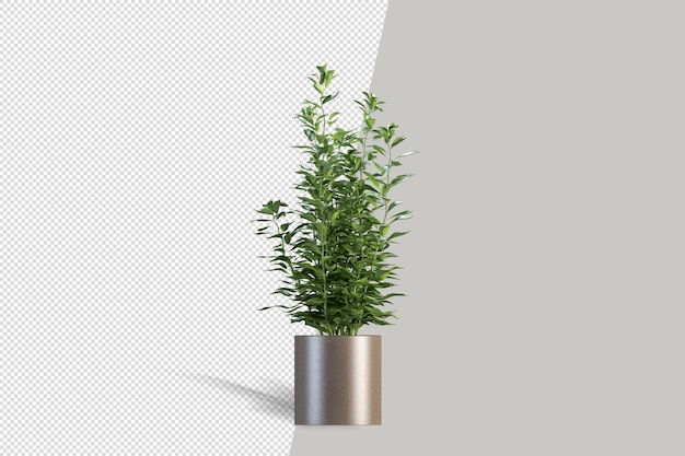 Plant in 3d rendering isolated