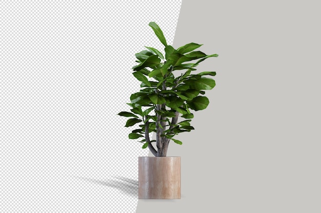 Plant in 3d rendering isolated