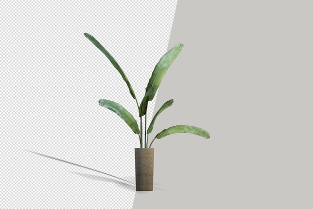 Plant in 3d rendering isolated