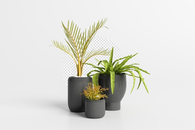 分離された3Dレンダリングの植物