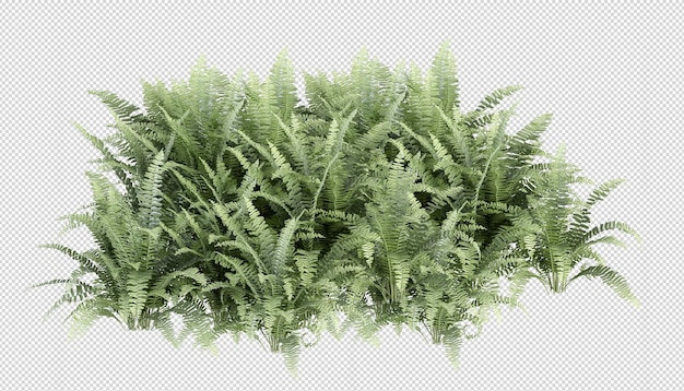 PSD plant in 3d rendering isolated