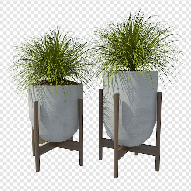 PSD plant 3d rendering psd premium