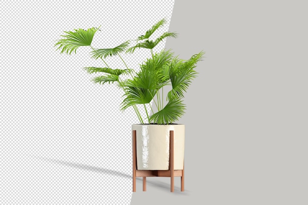 PSD plant in 3d rendering