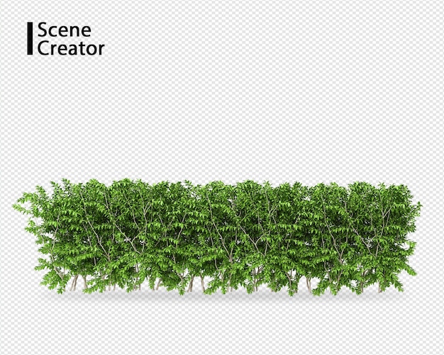 Plant 3d-rendering